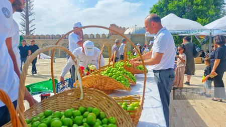 В Нахчыване начался фестиваль Гёйча