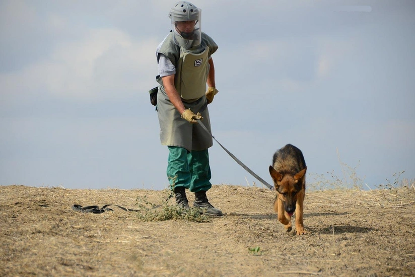 Turkey presents 10 mine detection dogs to Azerbaijan