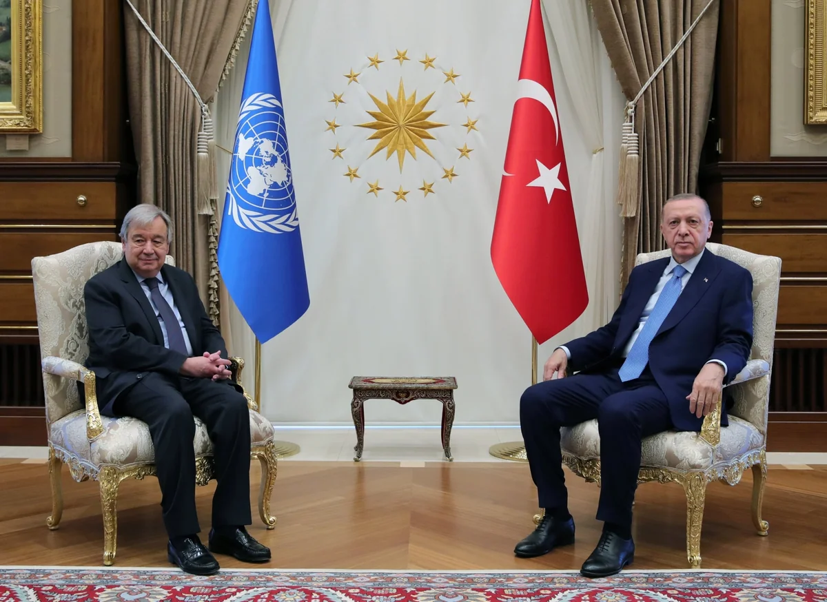 UN secretary-general, Turkish president mull regional issues