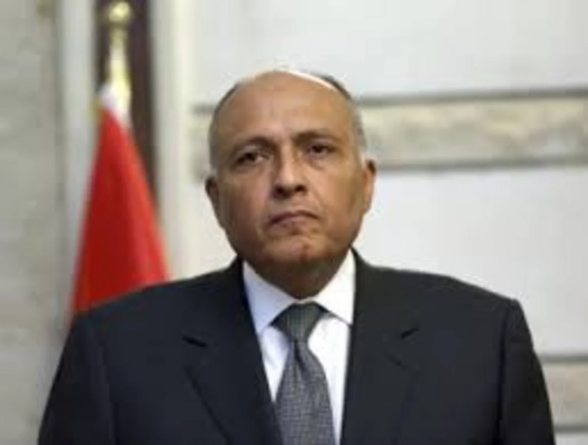 Misir: Səudiyyə Ərəbistanının Suriyada quru əməliyyata dair qərarı bu ölkənin öz siyasəti ilə bağlıdır