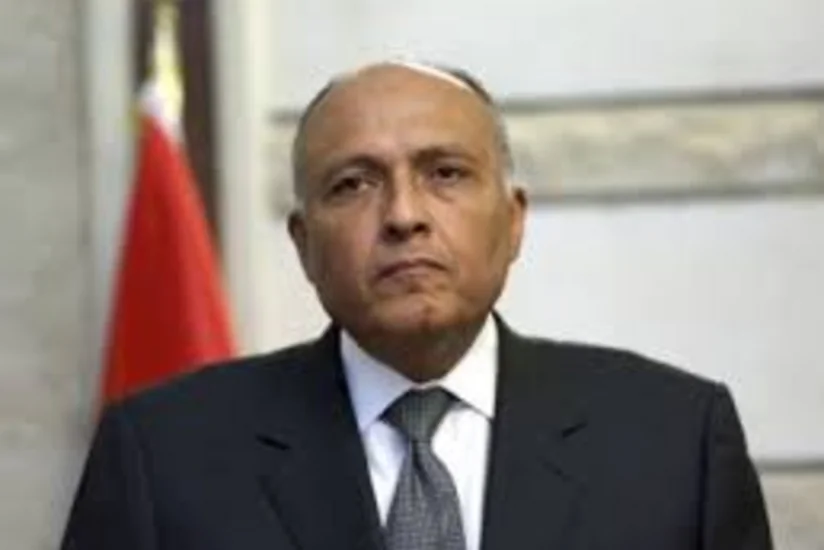 Misir: Səudiyyə Ərəbistanının Suriyada quru əməliyyata dair qərarı bu ölkənin öz siyasəti ilə bağlıdır