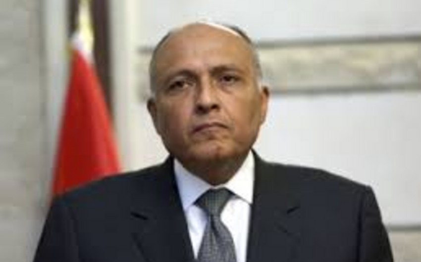 Misir: Səudiyyə Ərəbistanının Suriyada quru əməliyyata dair qərarı bu ölkənin öz siyasəti ilə bağlıdır