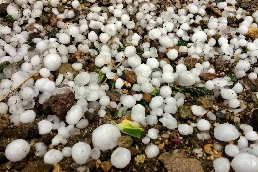 Qazaxın kəndlərinə dolu düşüb