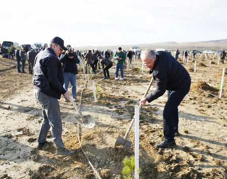 Tree-planting campaign held on 30th anniversary of New Azerbaijan Party