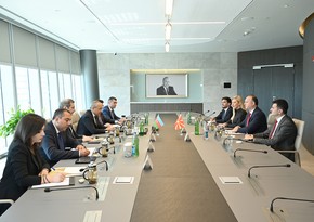 Баку и Скопье провели переговоры по энергетике и Среднему коридору