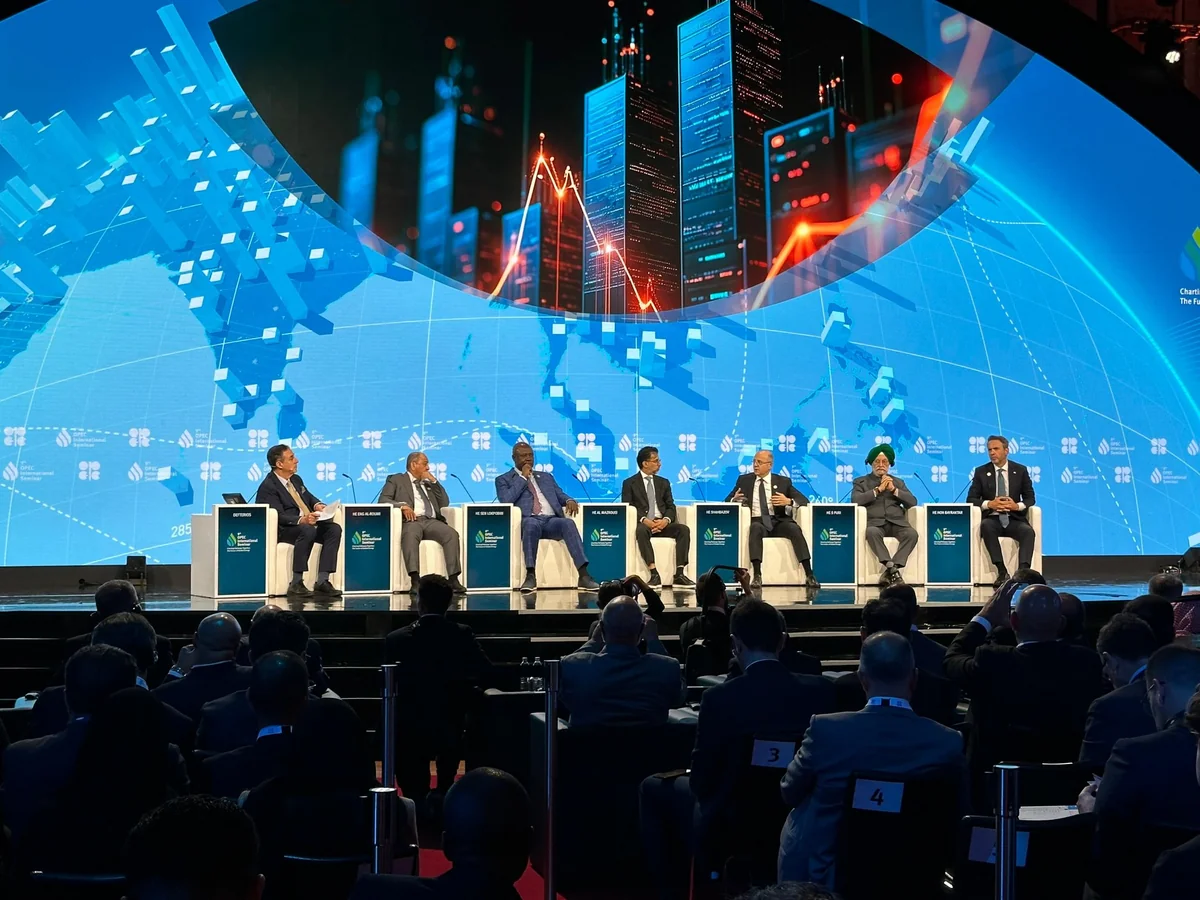 Pərviz Şahbazov: “Davamlı enerji təchizatı sərmayə olmadan mümkün deyil” - YENİLƏNİB