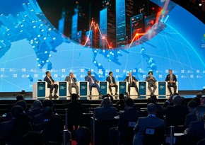 Pərviz Şahbazov: “Davamlı enerji təchizatı sərmayə olmadan mümkün deyil” - YENİLƏNİB