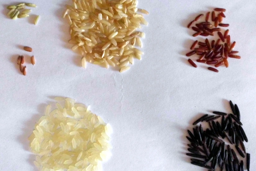 Eating refined grains can be life-threatening