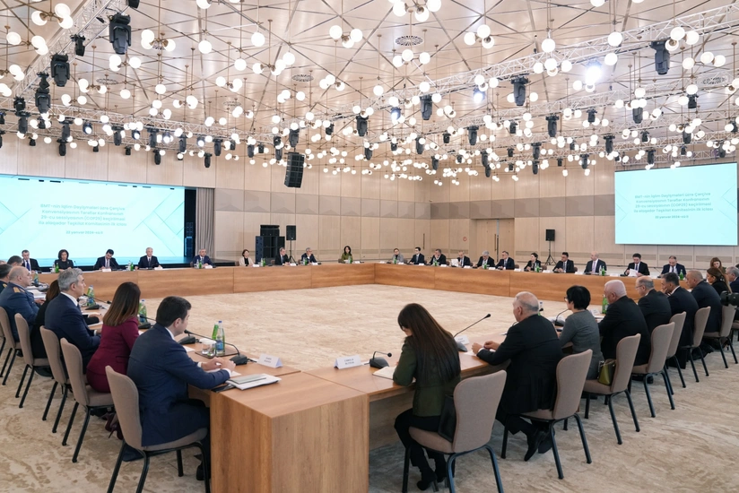 Состоялось первое заседание оргкомитета CОР29