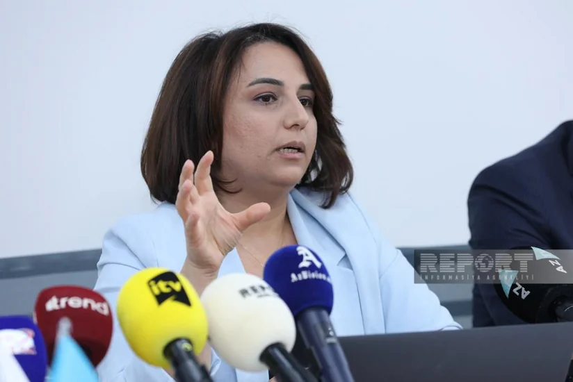 Milli Süni İntellekt Strategiyası gələn il hazır olacaq