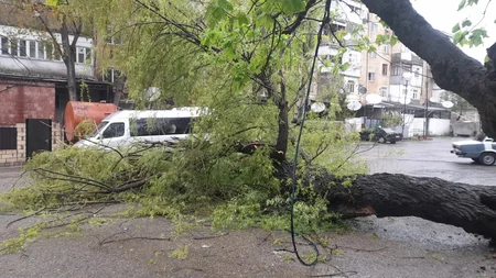 В Шамахы устраняют последствия непогоды