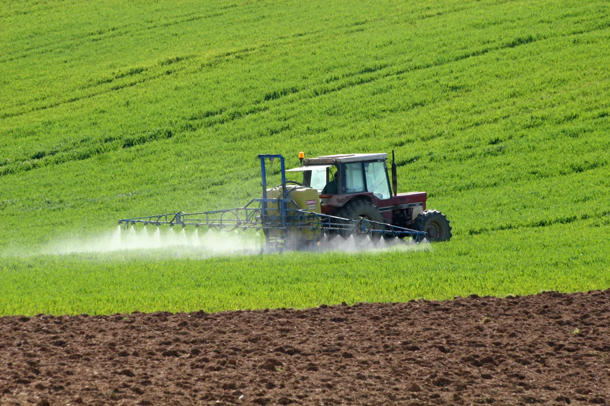 Agriculture Ministry: This year mainly grain sown in liberated territories