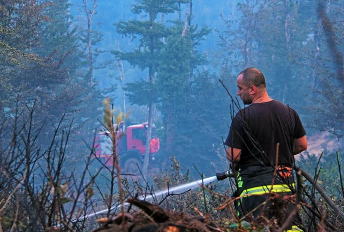 Gürcüstanda meşə yanğını lokallaşdırılıb - YENİLƏNİB