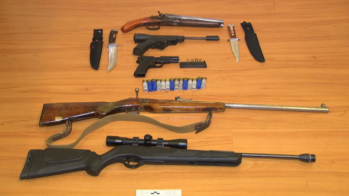 Vətəndaşlardan qanunsuz saxlanılan 10 silah götürülüb