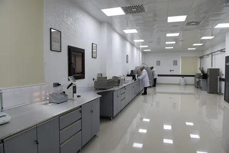 Azərbaycanda süni mayalanma yolu ilə alınmış buzovların sayı 45 mini keçib