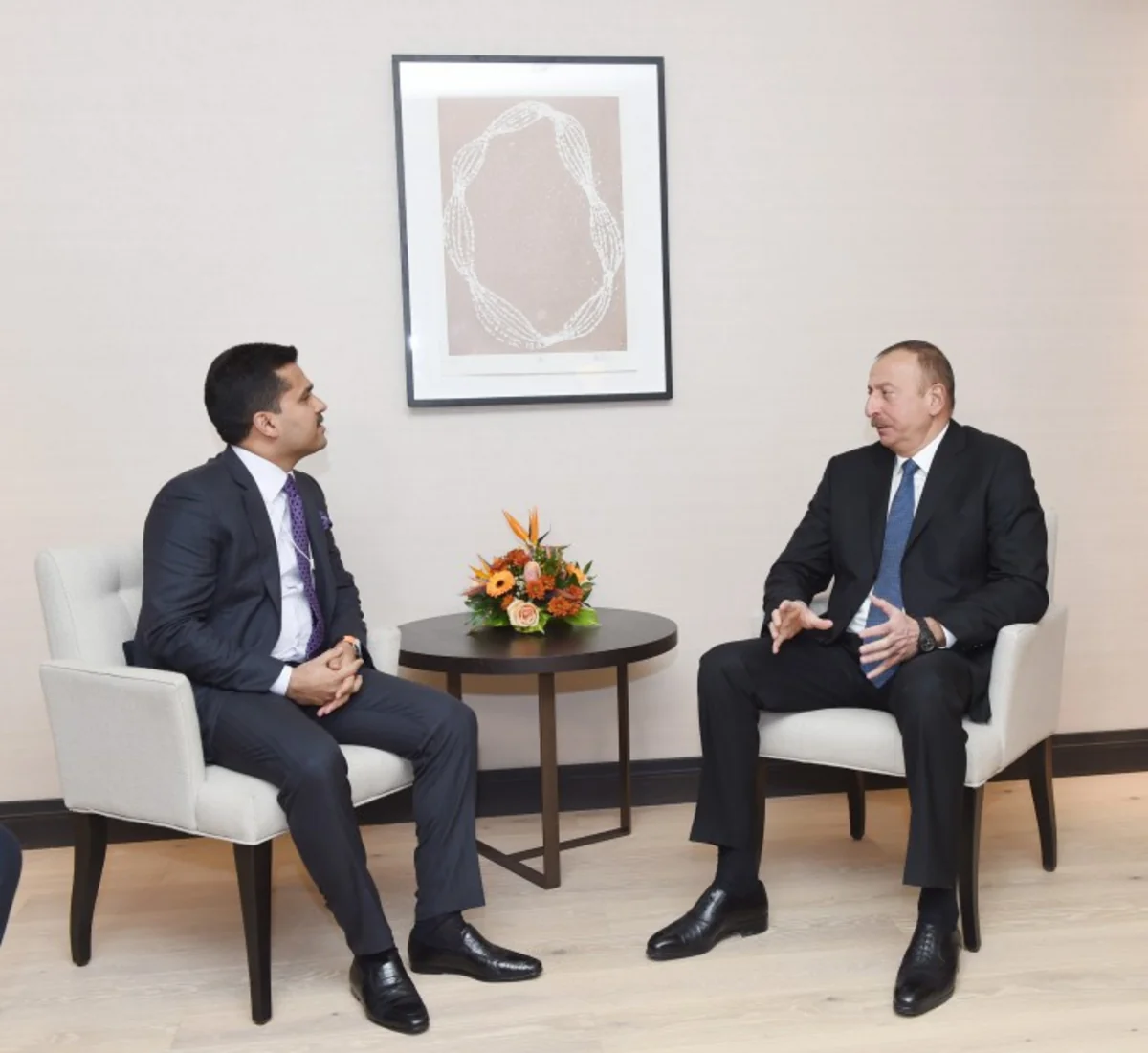 President Ilham Aliyev met with managing director of VPS Healthcare