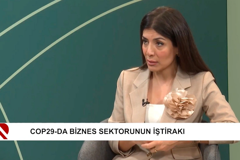 Nigar Arpadarai: COP29 Azərbaycanı daha böyük müzakirələrin iştirakçısına çevirəcək