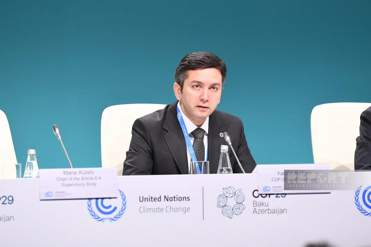 Baş danışıqçı: COP29-da iqlim dəyişikliyi ilə bağlı kompleks işlər görməliyik