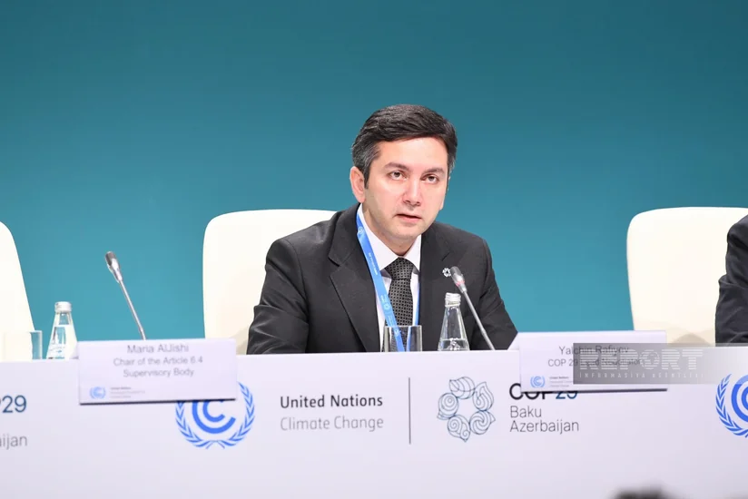 Baş danışıqçı: COP29-da iqlim dəyişikliyi ilə bağlı kompleks işlər görməliyik