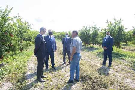 Kənd Təsərrüfatı naziri fermerlərlə görüşüb