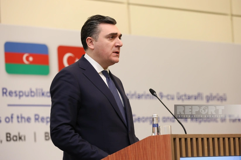Georgian FM: Joint energy projects increase region’s importance