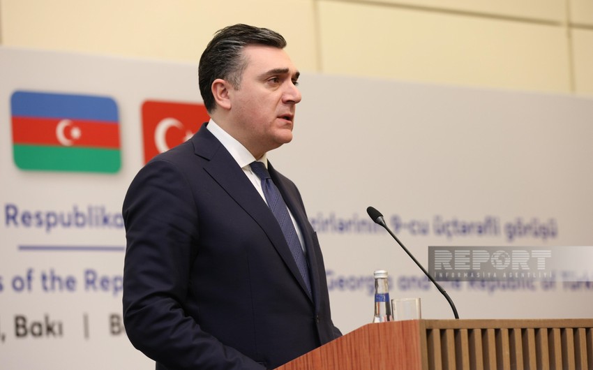 Gürcüstan XİN başçısı: Enerji sahəsində birgə layihələr regionumuzun əhəmiyyətini artırır