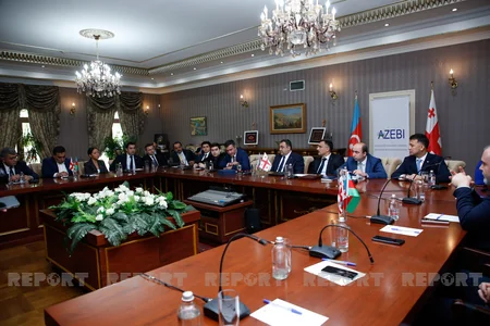 Azerbaijani, Georgian companies intensify co-op