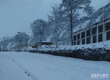 Qax rayonuna ilk qar yağıb - FOTOREPORTAJ