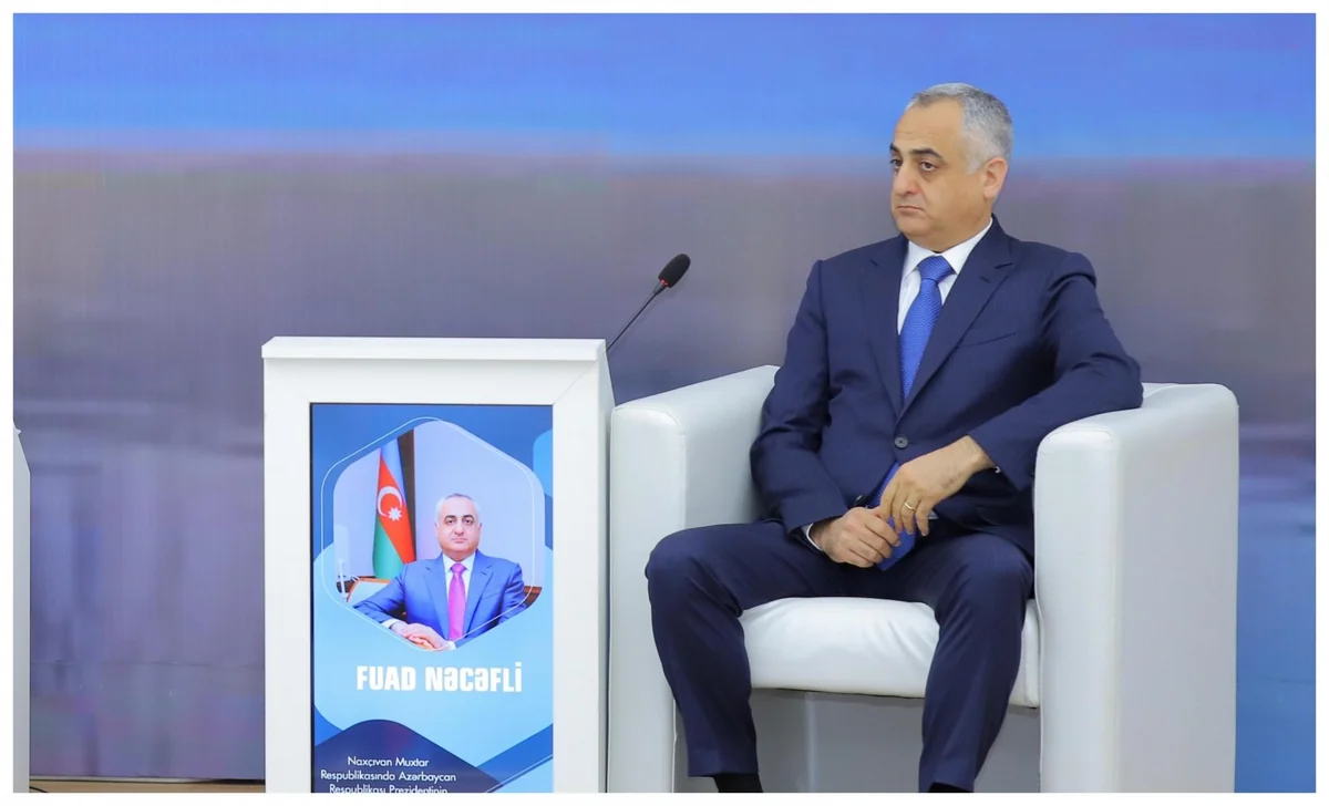Fuad Nəcəfli: Naxçıvanda yerli gəlirlər artıb
