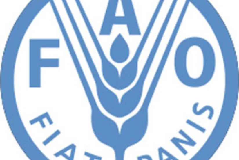 ​FAO-nun baş direktoru Azərbaycana gəlir