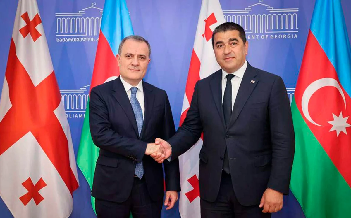 Shalva Papuashvili: Georgia-Azerbaijan relations successfully developing