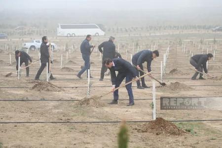 Heydər Əliyevin 100 illik yubileyi ilə əlaqədar növbəti ağacəkmə aksiyası keçirilib