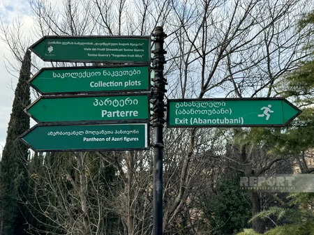 Görkəmli Azərbaycanlılar Panteonu: dostluq rəmzi - Tbilisi Botanika Bağından REPORTAJ