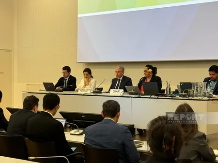 COP29 prezidenti kiçik ada dövlətləri üzrə Danışıqlar Qrupunun nümayəndələri ilə görüşüb