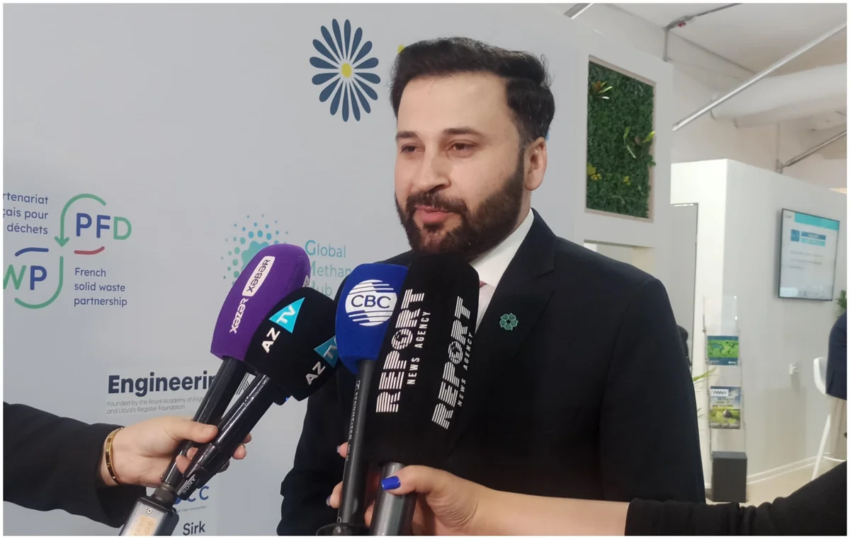 Пакистанский эксперт: Надеемся, что дискуссии на COP29 дадут положительные результаты
