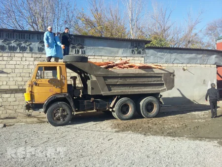Bərdədə 20 ton mənşəyi məlum olmayan ət yandırılıb - FOTO