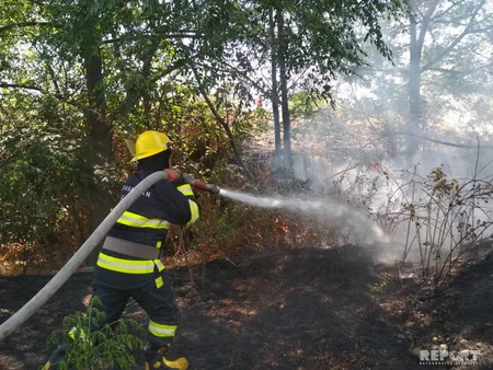 Bərdədə yanğın irigövdəli ağacları yararsız hala salıb - FOTO - VİDEO - YENİLƏNİB