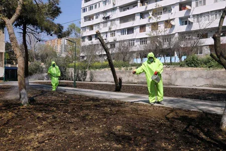 Daha 2 min nəfər ödənişli ictimai işlərə cəlb olundu