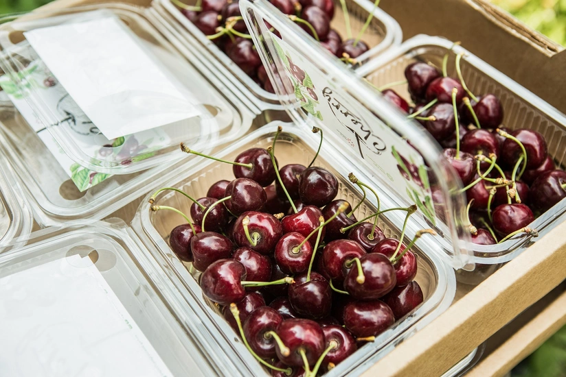 Азербайджан экспортирует черешню в Африку