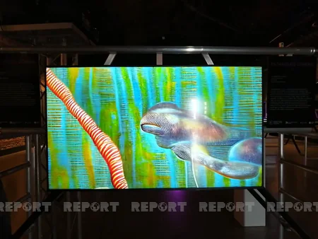 First artificial intelligence of Azerbaijan Shusha composition presented in Istanbul