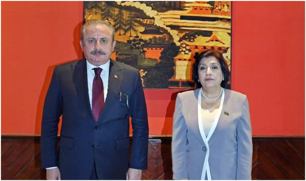 Azərbaycan və Türkiyə parlamentinin sədrləri beynəlxalq təşkilatlarda əməkdaşlığı müzakirə ediblər