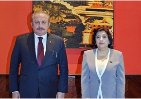 Azərbaycan və Türkiyə parlamentinin sədrləri beynəlxalq təşkilatlarda əməkdaşlığı müzakirə ediblər