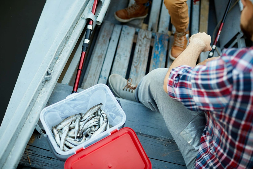 Hər əlinə qarmaq alan balıq tuta bilməz