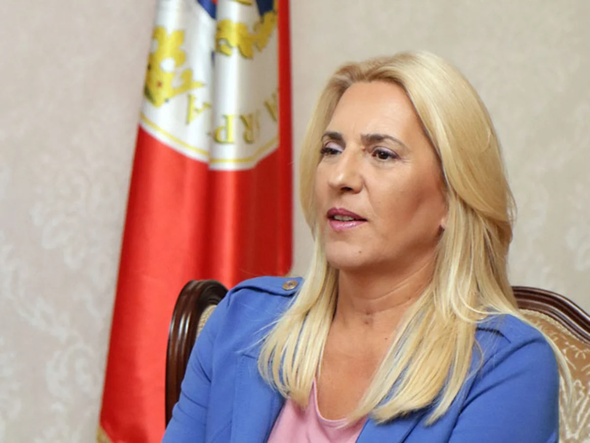 Jelka Sviyanoviç Bosniya və Herseqovina Rəyasət Heyətinin üzvünə seçkilərdə qalib olub