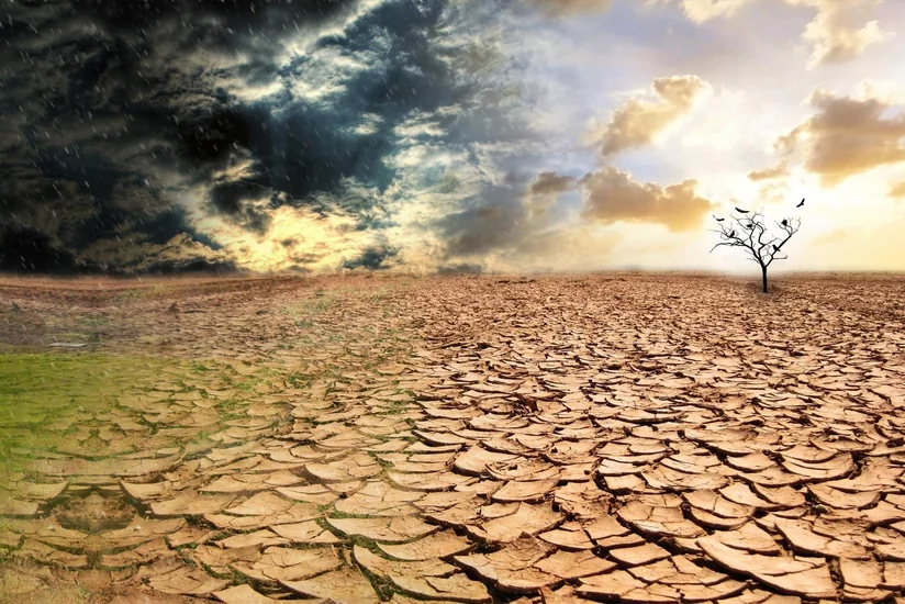 Deputat quraqlığın təbii fəlakət hadisələri sırasına daxil edilməsini təklif edib