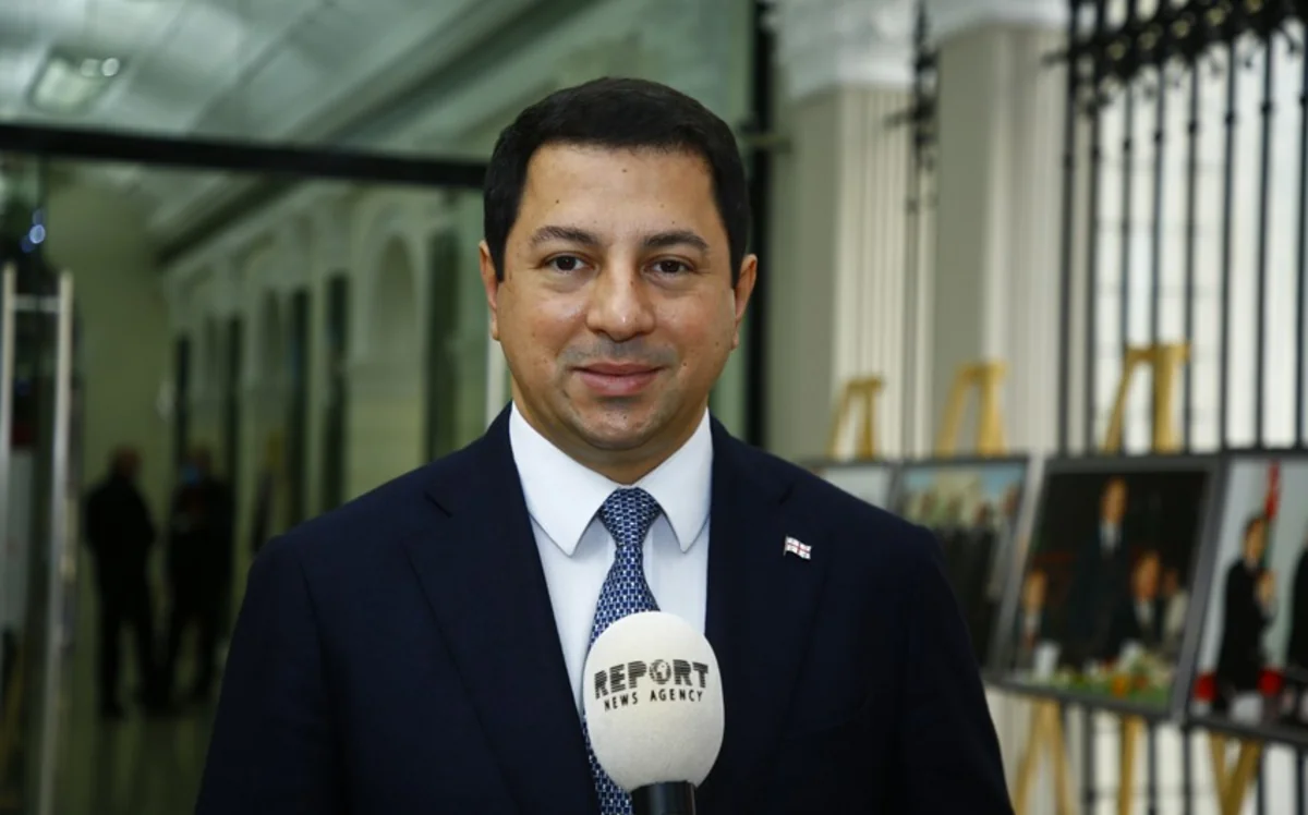 Gürcüstanın vitse-spikeri: Prezident seçkilərində yüksək fəallıq vardı