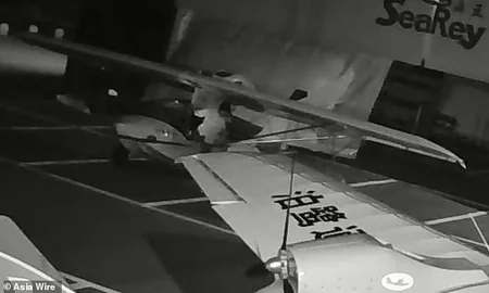 В Китае школьник угнал из ангара два самолёта - ФОТО - ВИДЕО