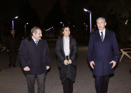 Leyla Əliyevanın təşəbbüsü ilə Bakıda ağacların qeydiyyatı və nömrələnməsi üzrə layihəyə start verilib