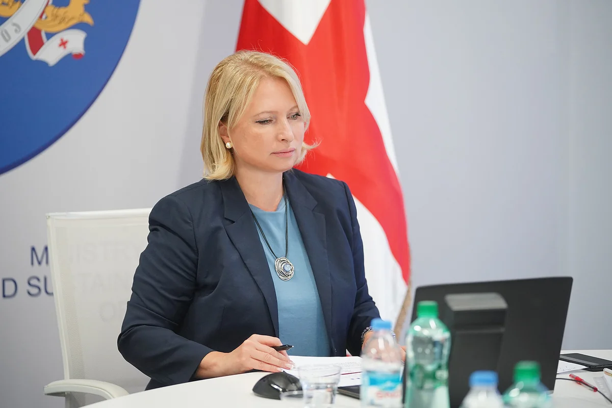 Gürcüstanın iqtisadiyyat naziri özünü təcrid edib