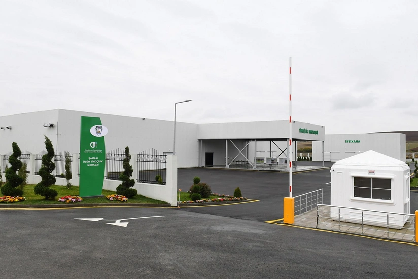 Şamaxıda yeni meyvə növləri və ting istehsalı prosesinin təqdimatı olacaq